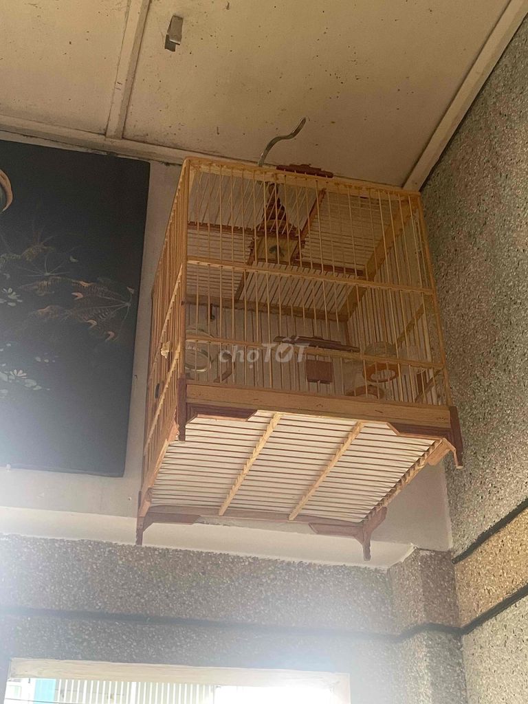 cần bán Lồng chim gỗ. Mua bán Phụ kiện, Thức ăn, Dịch vụ tại Quận Tân Phú Tp Hồ Chí Minh được đăng bởi Phạm Khiêm hình 1