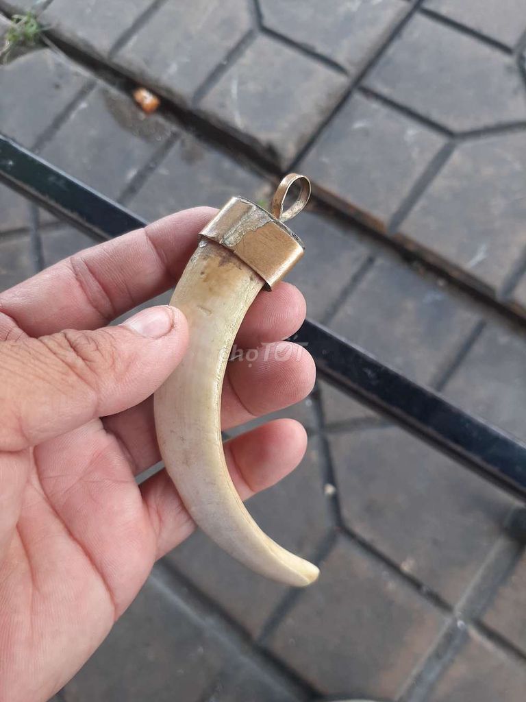 đồ sưu tầm xưa. Mua bán Đồ sưu tầm, đồ cổ tại Quận Ninh Kiều Cần Thơ được đăng bởi Nguyễn Châu hình 1