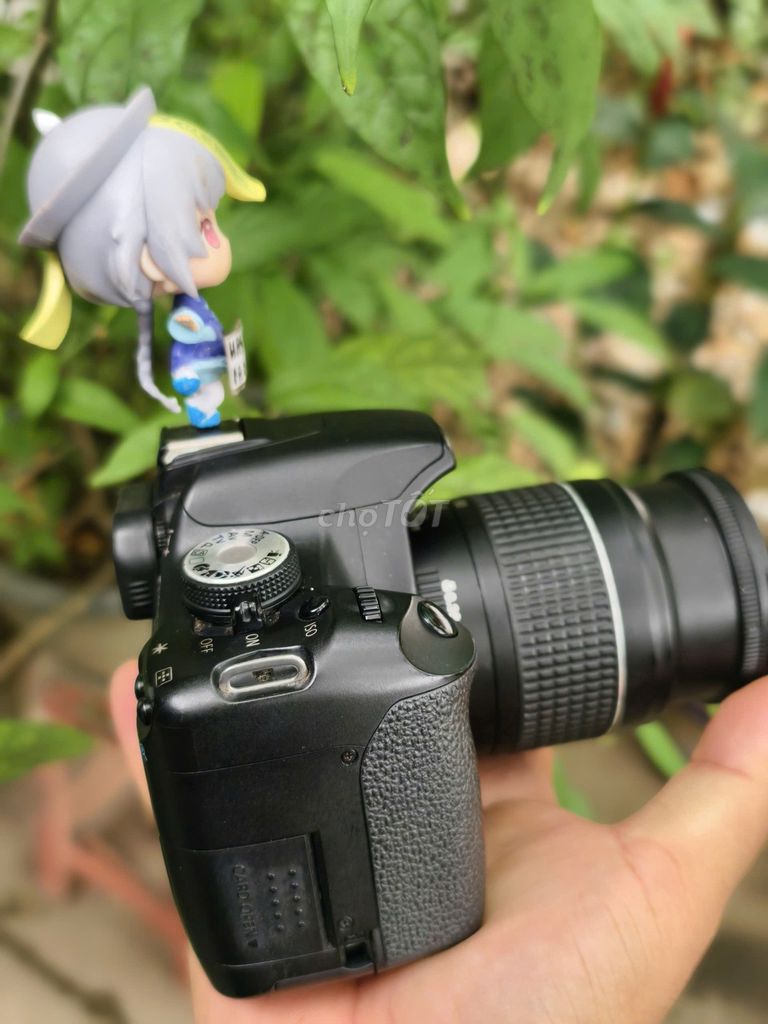 Canon 500D + 28 80. Mua bán Máy ảnh, Máy quay tại Thành phố Cao Lãnh Đồng Tháp được đăng bởi Trần đăng khoa hình 1