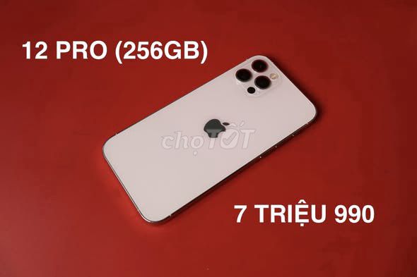 Apple iPhone 12 Pro 256GB Trắng. Mua bán Điện thoại tại Quận 5 Tp Hồ Chí Minh được đăng bởi Hội Đồ Điện Tử hình 1
