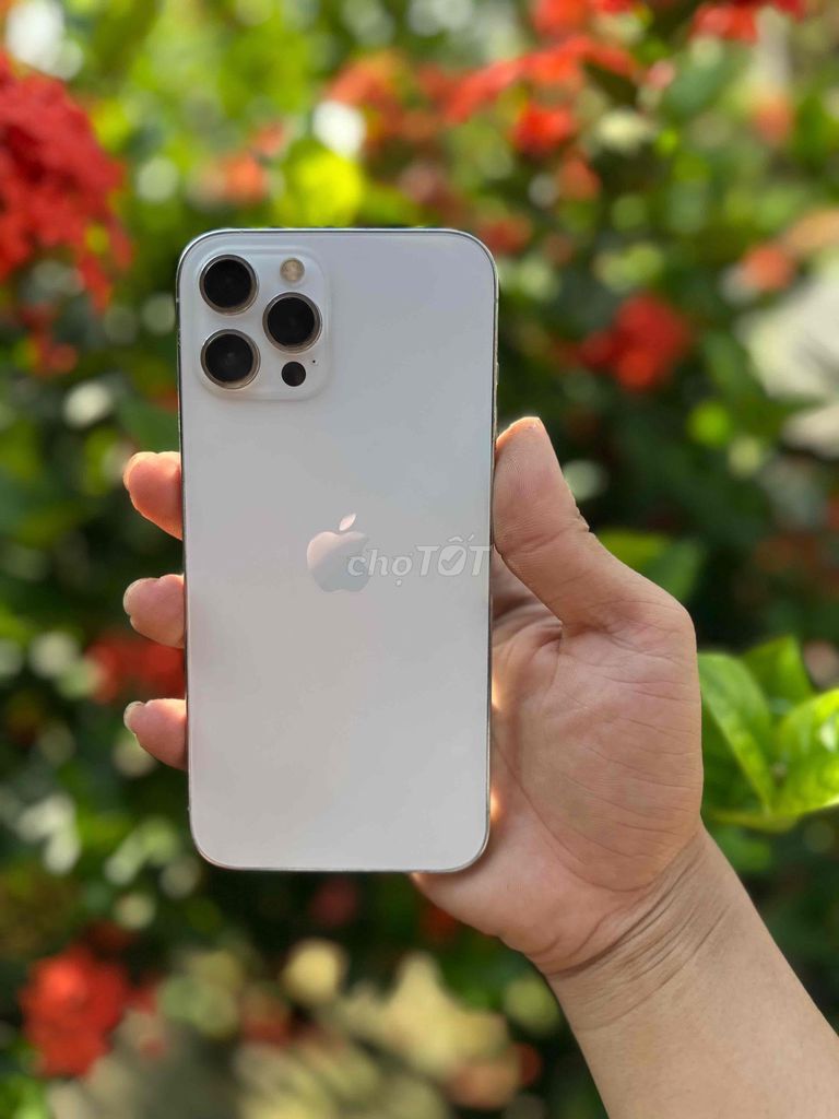 Apple iPhone 12 Pro Max 256GB Bạc Mỹ. Mua bán Điện thoại tại Huyện Châu Phú An Giang được đăng bởi Thương Nè hình 1