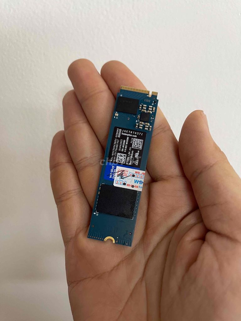 SSD NVME 500GB WD BLUE BHH 2028