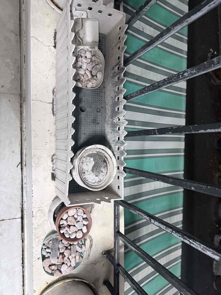 Chậu cây Nhựa, Đất nung. Mua bán Cây cảnh, đồ trang trí tại Thành phố Thủ Đức Tp Hồ Chí Minh được đăng bởi Hiếu Trần hình 1