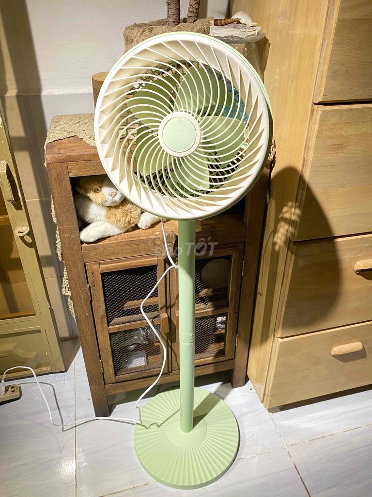 Có cây Q u ạ t hình chụp