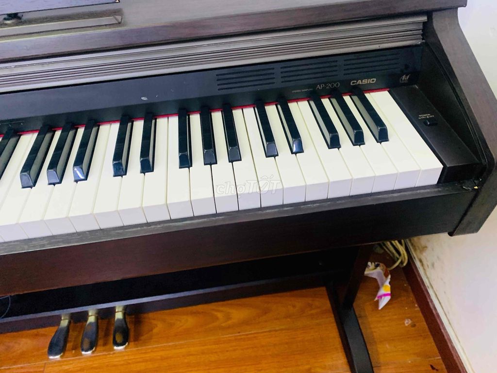 piano cassio ap 200 nguyên cây