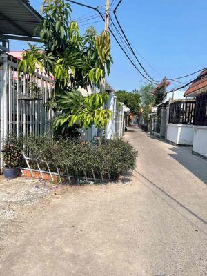 đất thổ cư nở hậu