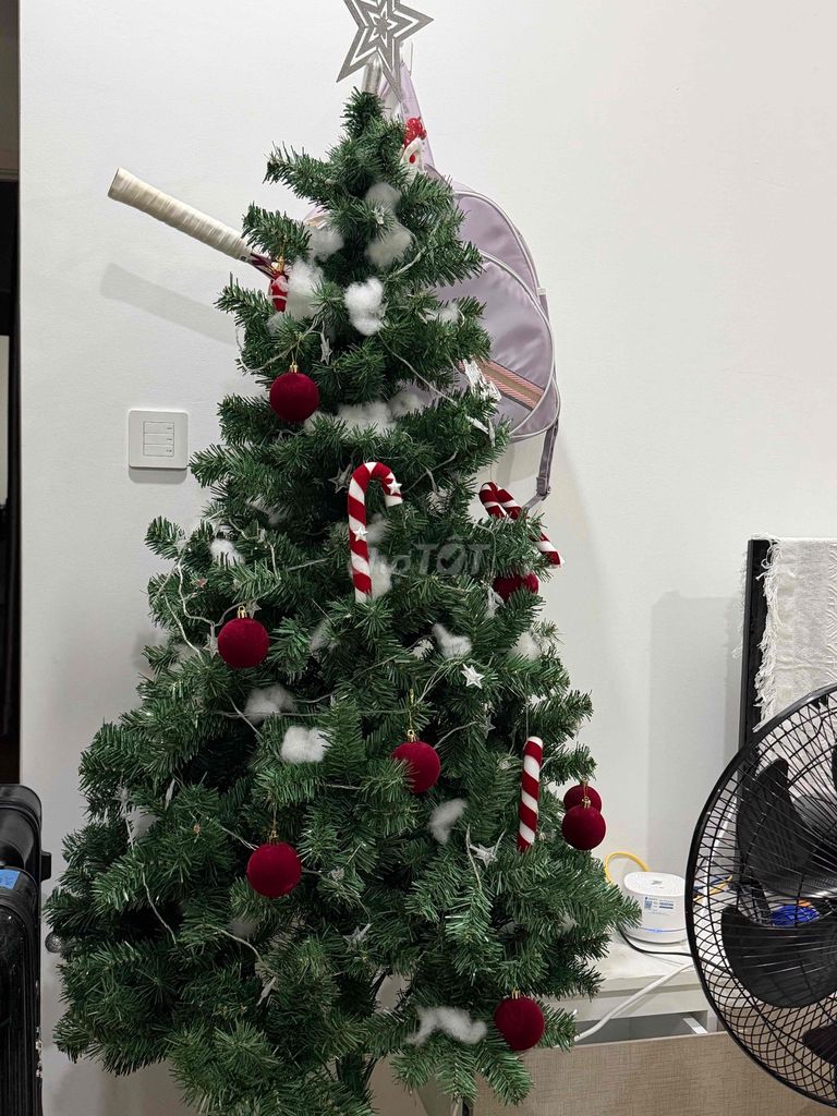 Cây thông Noel 1m7 Xanh lá Đầy đủ. Mua bán Cây cảnh, đồ trang trí tại Quận 4 Tp Hồ Chí Minh được đăng bởi k hình 1