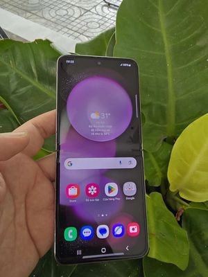 Sam sung z flip 5 ram8/512g ssvn .có gl. Mua bán Điện thoại tại Quận 6 Tp Hồ Chí Minh được đăng bởi my