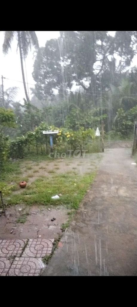 Vườn 10 cái. Mua bán Cây cảnh, đồ trang trí tại Quận Ô Môn Cần Thơ được đăng bởi ga đá base hình 1