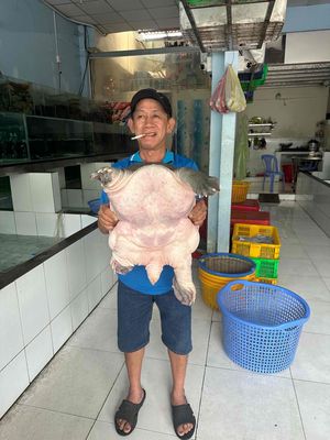 Tuyển nữ kế toán nội bộ và thu ngân