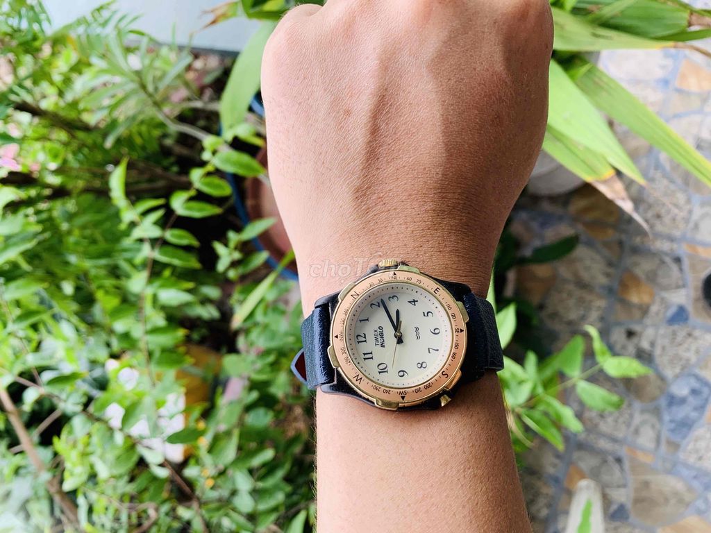 Đồng hồ pin Timex