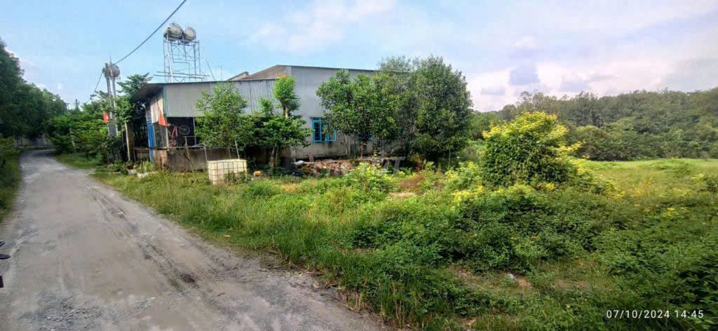 Bán Lô Đất  Sau KCN Long Đức,H. Long Thành, 3500m2, Giá 5Ty8 TL. Mua bán đất tại Huyện Long Thành Đồng Nai được đăng bởi Trần Thái CTA hình 5