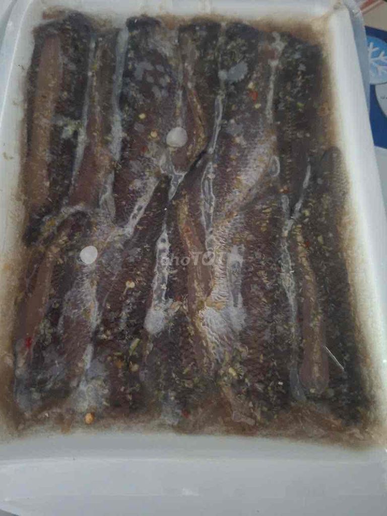 Khô cá lóc hộp. Mua bán Đồ ăn, thực phẩm và các loại khác tại Huyện Châu Thành Long An được đăng bởi Phương Nhi Tên Nhi hình 1