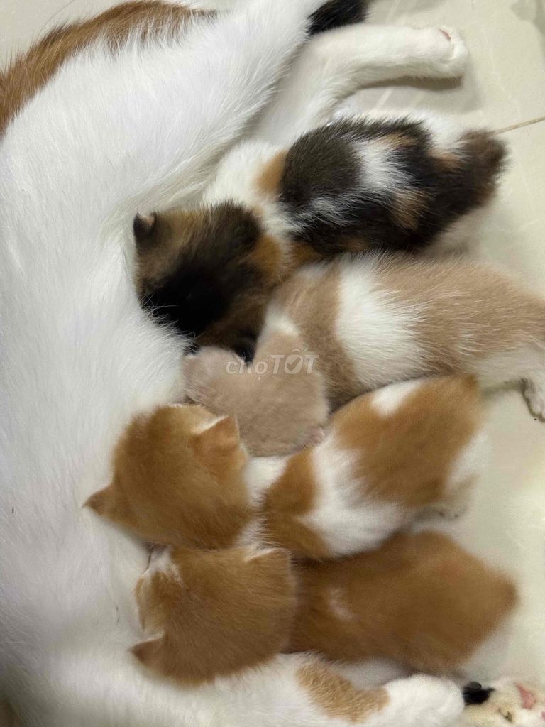 Ngoan xinh yêu của bố/ mẹ đây rồiii
