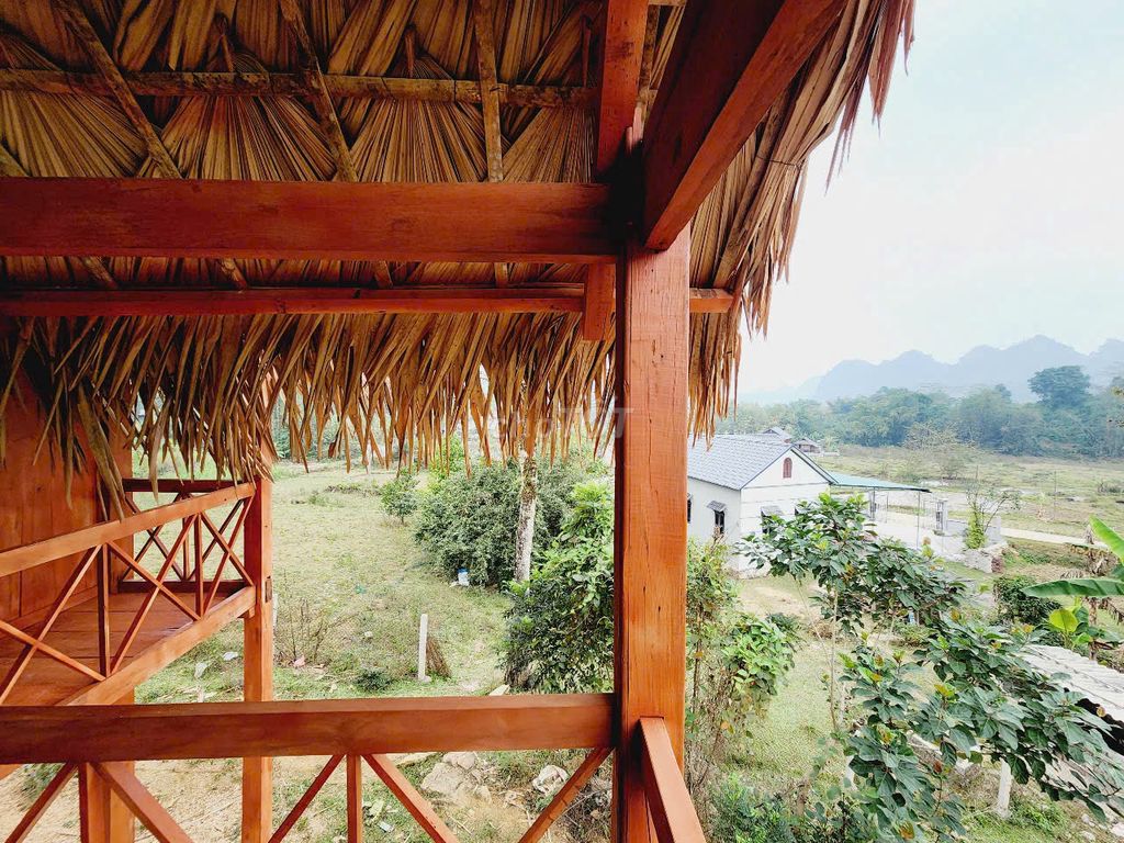 MUA ĐẤT TẶNG NHÀ SÀN GỖ QUÝ TẠI TÂN LẠC. Mua bán đất tại Huyện Tân Lạc Hòa Bình được đăng bởi Đoàn Thị Chinh hình 1