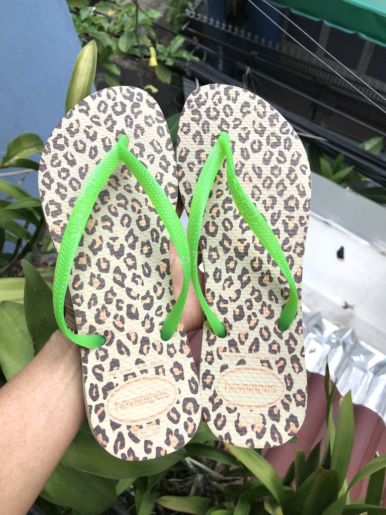 Đôi dép hiệu Hav.aian.as của Brazil chính hãng xịn. Mua bán Giày dép tại Quận Tân Bình Tp Hồ Chí Minh được đăng bởi Phương Anh hình 1