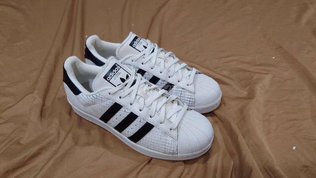 Adidas sò chính hãng còn mới