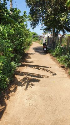 Đất thổ cư mặt tiền bê tông 289,1 m2 thôn Phú Thịnh, xã Sơn Thành. Mua bán đất tại Huyện Tây Hòa Phú Yên được đăng bởi Tạ Hữu Phong