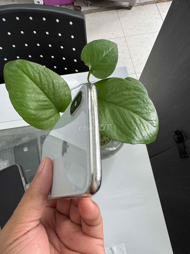 iPhone X 256G. Quốc Tế. pin 100. Mua bán Điện thoại tại Quận Ninh Kiều Cần Thơ được đăng bởi phan Nhân  hình 1