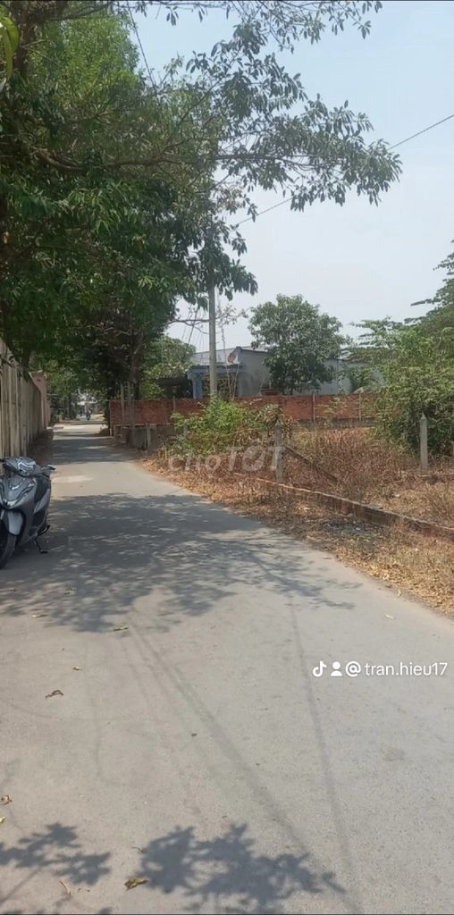 Bán đất chính chủ 5x24 SHR Nguyễn Thị Nếp Tân Thạnh Đông