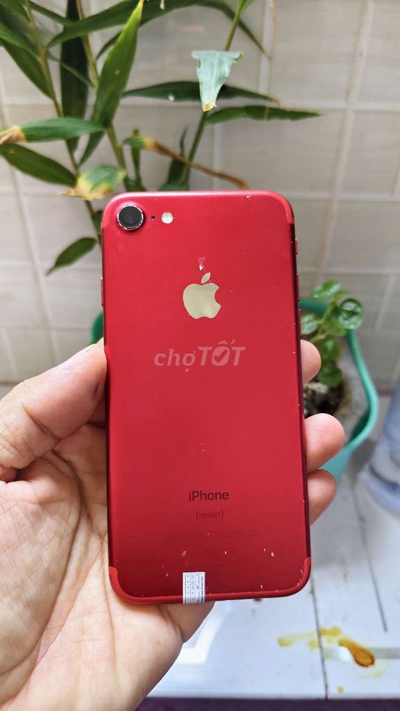 iPhone 7  128gb Quốc Tế. Mua bán Điện thoại tại Huyện Tháp Mười Đồng Tháp được đăng bởi ĐỒ CŨ THÁP MƯỜI  hình 1