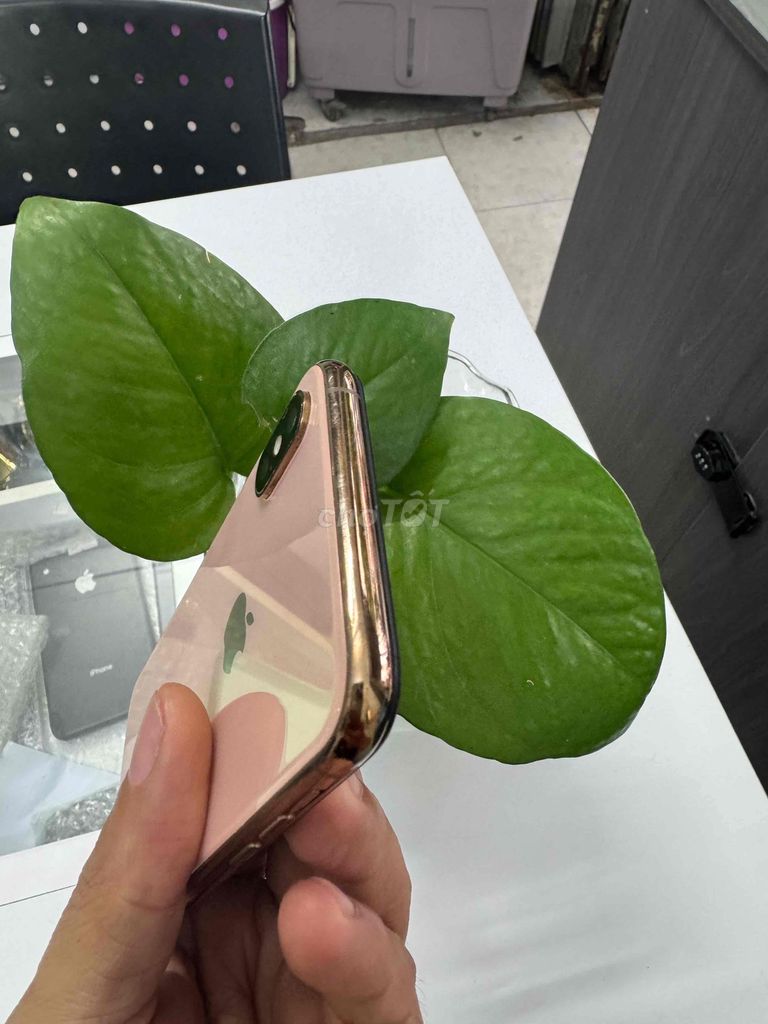 iPhone Xs Quốc Tế, Full CN. Mua bán Điện thoại tại Quận Ninh Kiều Cần Thơ được đăng bởi phan Nhân  hình 1