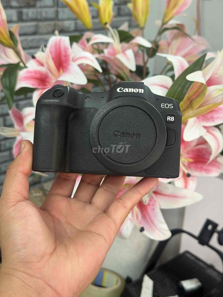 Máy ảnh Canon R8 Đen đã qua sử dụng 15k shot. Mua bán Máy ảnh, Máy quay tại Quận Tân Bình Tp Hồ Chí Minh được đăng bởi Qt Camera hình 1