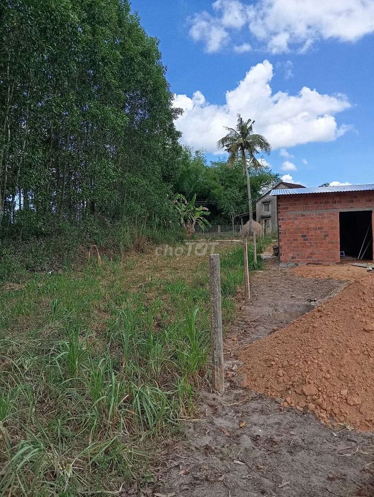 Bán lô đât 363 m² tại xã mỹ hiệp