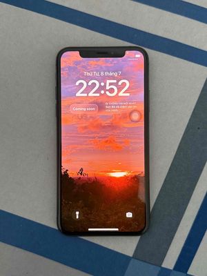 Apple iPhone XS 256GB 100%