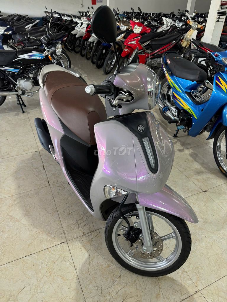 Janus 2025. Mua bán Xe máy tại Huyện Hàm Thuận Nam Bình Thuận được đăng bởi Toàn hình 5