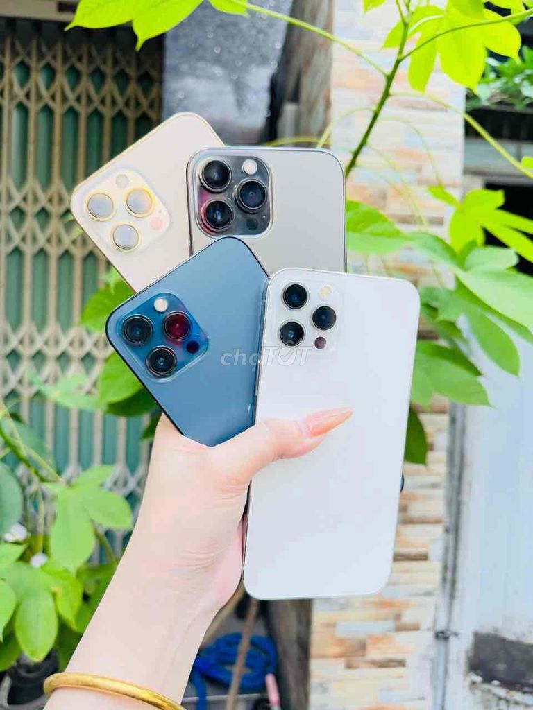 ✅IPHONE XẢ KHO IPHONE 👉🏻Bao Đậu Sinh Viên