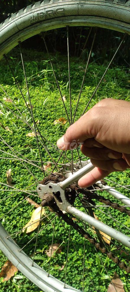 Xe đạp xưa. Mua bán Xe đạp tại Huyện Châu Thành Bến Tre được đăng bởi pham xuân tam hình 4