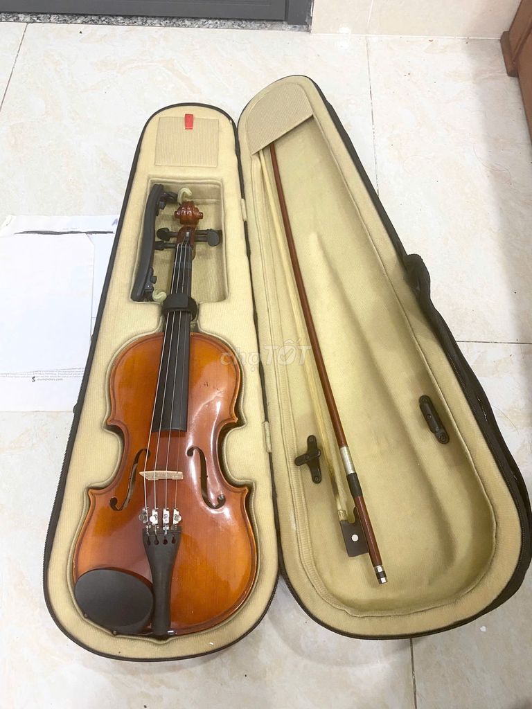 Đàn Violin 2/4 cho người mới tập