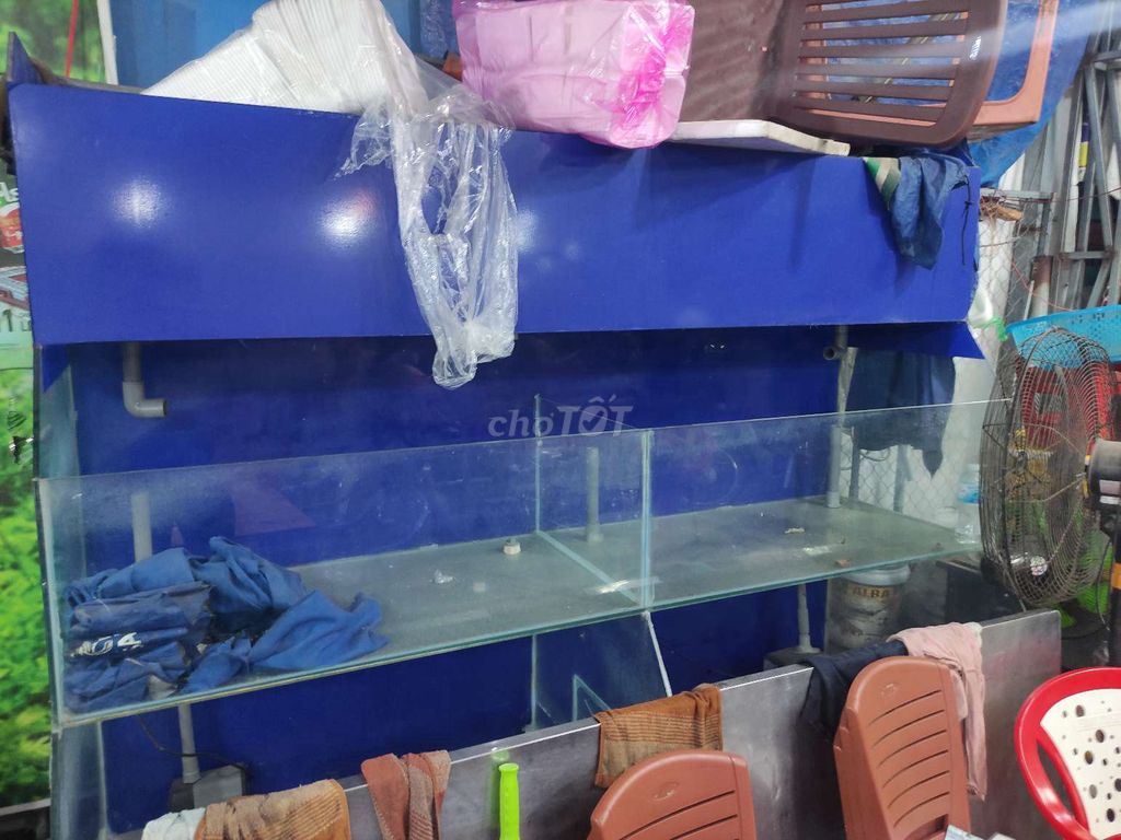 Bể cá kính màu xanh dương. Mua bán Phụ kiện, Thức ăn, Dịch vụ tại Quận Gò Vấp Tp Hồ Chí Minh được đăng bởi Trương Nguyễn Thành Phát hình 1