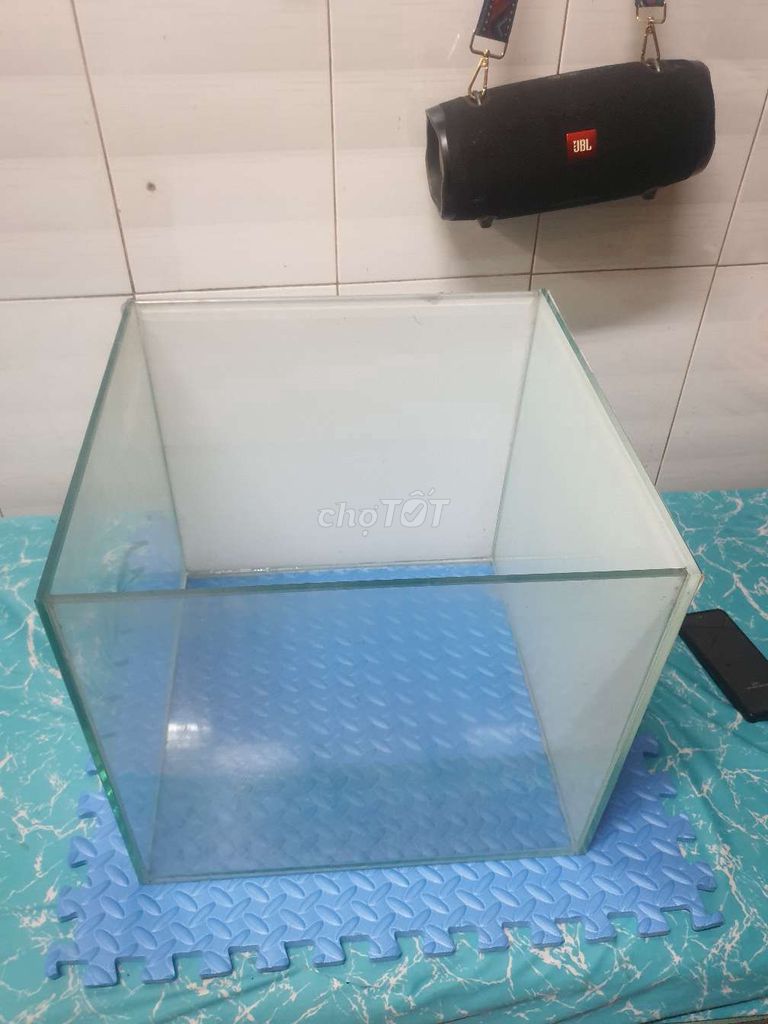 Hồ cá 40x40x40 (cubic 40) full 8ly