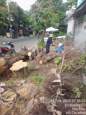 cần nhân viên tạp vụ vệ sinh. Việc làm tại Thành phố Thủ Đức Tp Hồ Chí Minh được đăng bởi Công ty TNHH Phượng Hoàng Mekong hình 1