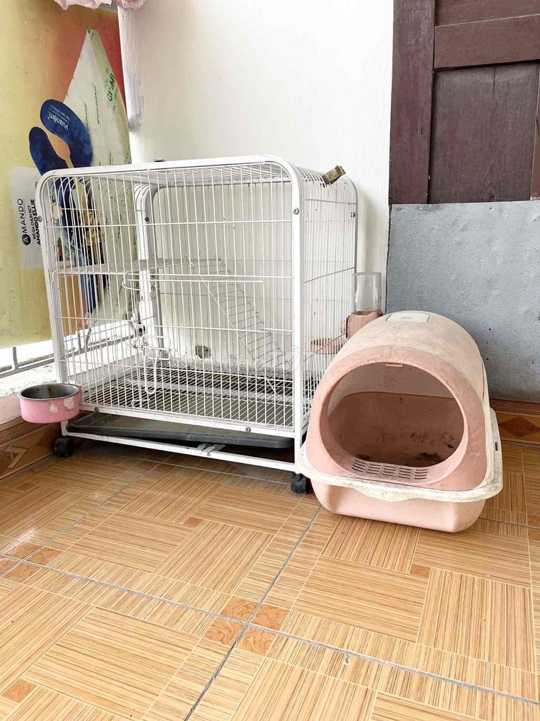 Lồng vận chuyển chó mèo Size M hàng mới. Mua bán Phụ kiện, Thức ăn, Dịch vụ tại Quận Thanh Xuân Hà Nội được đăng bởi Ngọc hình 1