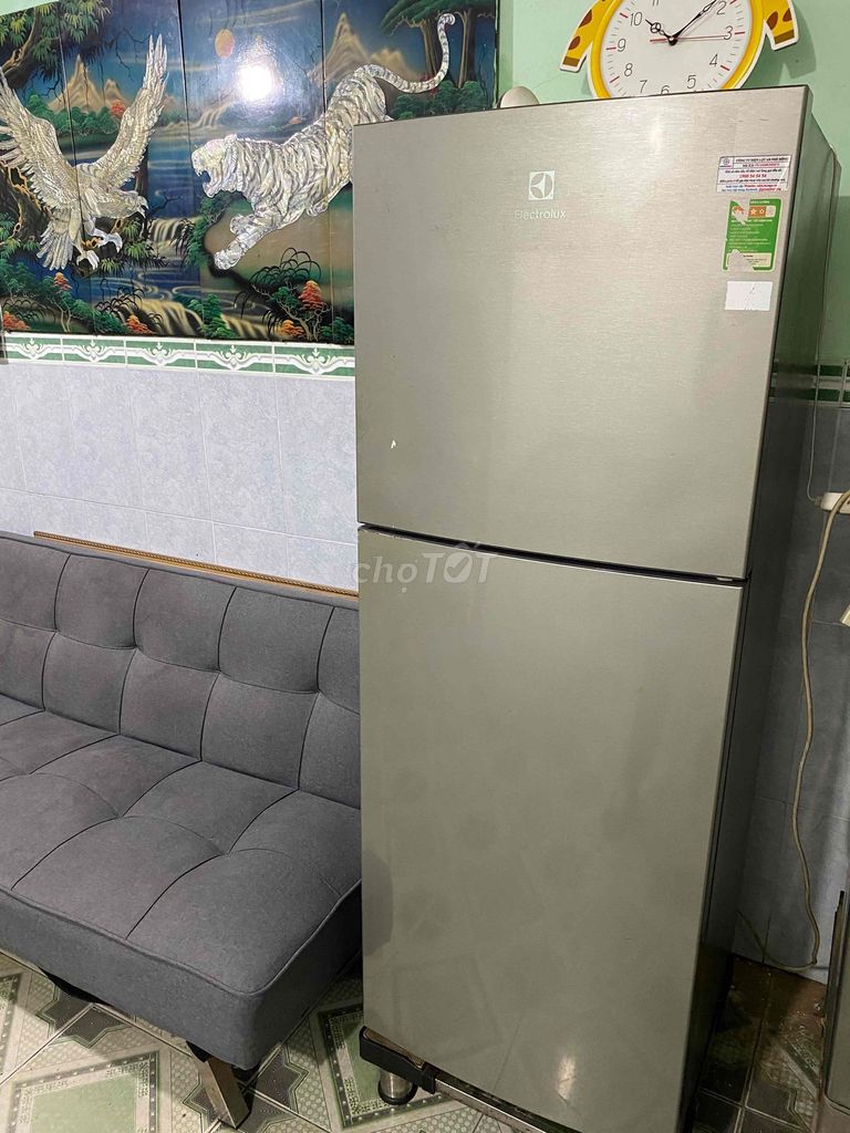 Tủ lạnh Electrolux 231L Xám đã sử dụng. Mua bán Tủ lạnh tại Quận Tân Bình Tp Hồ Chí Minh được đăng bởi Vũ Văn Tới hình 1