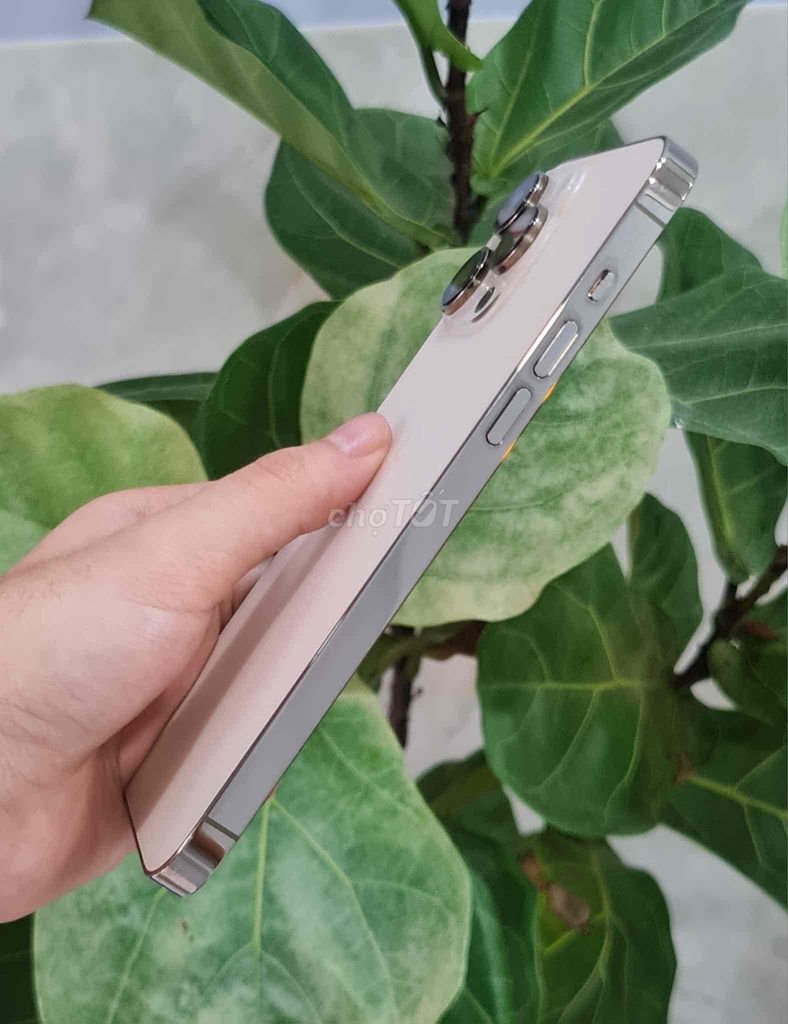 IPHONE 14 PROMAX- bản dung lượng lớn 256 GB - 98%