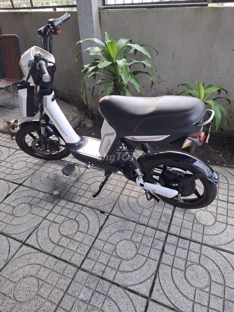 Cap As. Mua bán Xe điện tại Huyện Củ Chi Tp Hồ Chí Minh được đăng bởi Đạt 86 hình 1