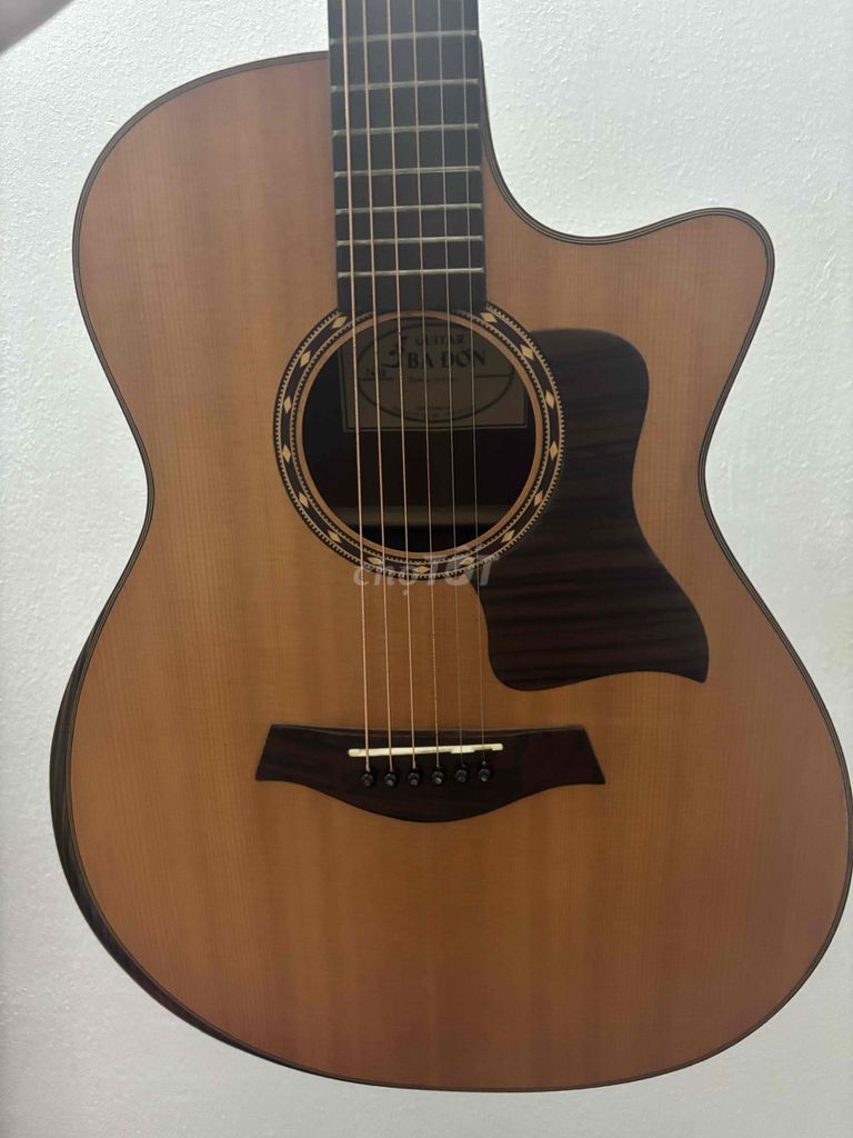 đàn ba đờn T450