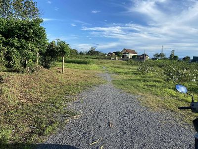 Cần cho thuê đất làm vườn, trang trại, kho bãi, kd.... Cho thuê đất tại Huyện Bố Trạch Quảng Bình được đăng bởi Nguyễn Xuân Quyết
