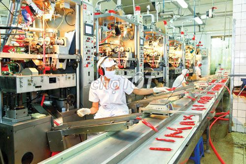 NHÂN VIÊN SẢN XUẤT - NHẬN VIỆC NGAY. Việc làm tại Quận Gò Vấp Tp Hồ Chí Minh được đăng bởi CÔNG TY VISSAN hình 2