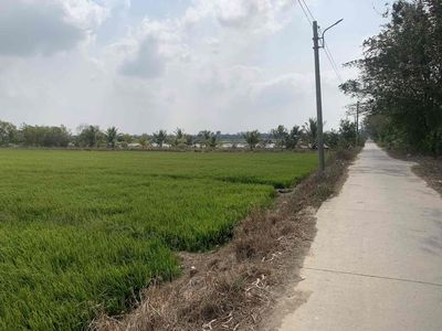 Cho thuê 3000m2 đất nn tại Bờ cua gần chợ Gò đen long an