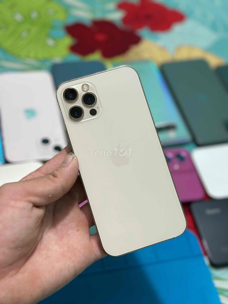 iphone 12pro QT mai  zin pin 100 mái sach ID nhay. Mua bán Điện thoại tại Huyện Cao Lãnh Đồng Tháp được đăng bởi minh dt zin 66 hình 1