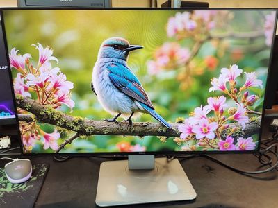 📢SỐC MÀN HÌNH UTRASHAP U2417H ĐỒ HỌA BAO NÉT. Mua bán Phụ kiện (Màn hình, Chuột...) tại Quận Gò Vấp Tp Hồ Chí Minh được đăng bởi ngọc trang