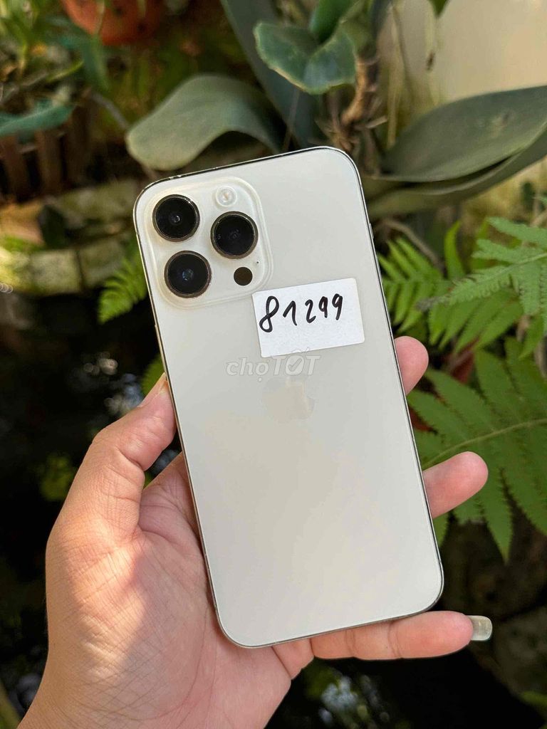 Apple iPhone 14 Pro Max 256GB Gold Đã qua sử dụng. Mua bán Điện thoại tại Thành phố Buôn Ma Thuột Đắk Lắk được đăng bởi Tèo Điện Thoại  hình 1
