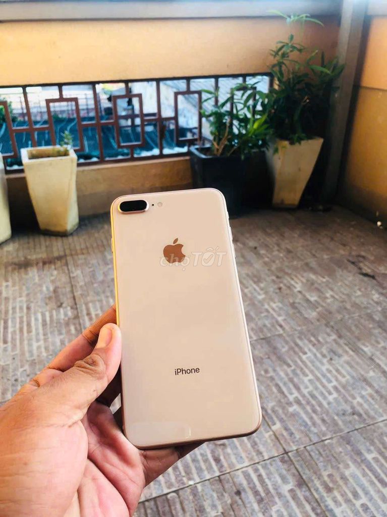 iphone 8 plus màu trắng. Mua bán Điện thoại tại Huyện Bình Chánh Tp Hồ Chí Minh được đăng bởi Hồ Trọng Tín hình 1