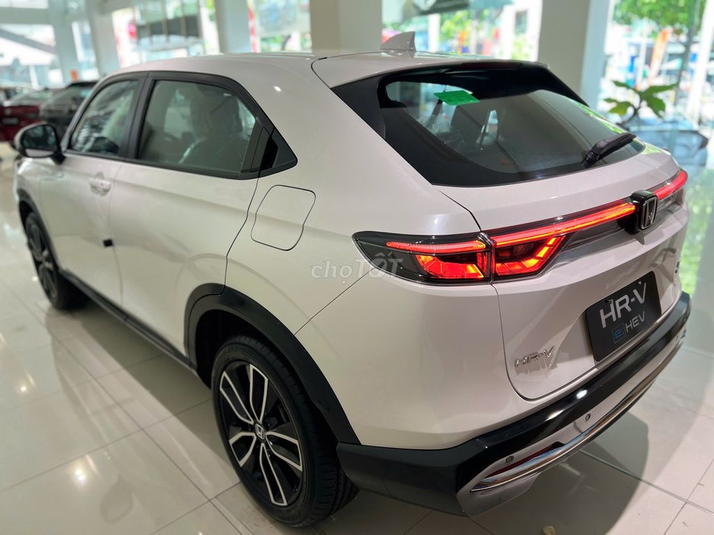 Ảnh số 8