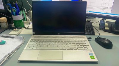 Laptop HP Pavilion 15-cs2056TX (i5-8265U)